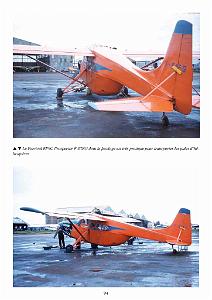 611 GYRAFRIQUE_000098